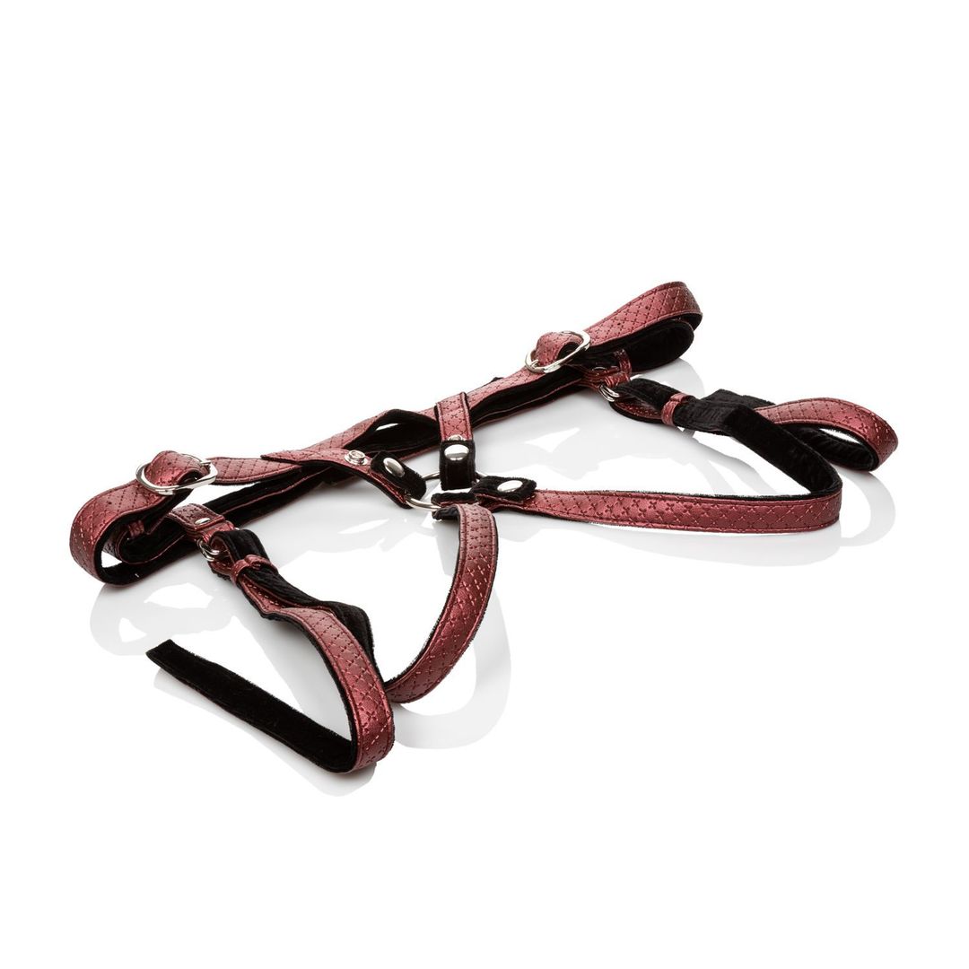 The Regal Red Royal Strap-On Harness Duchess Laying Flat.