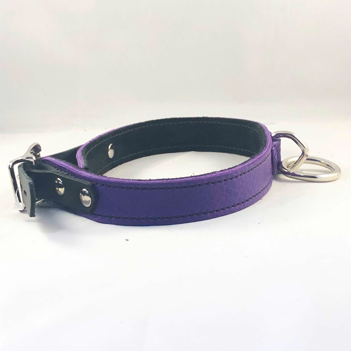 The side view of the purple Basic Single Ring Collar.