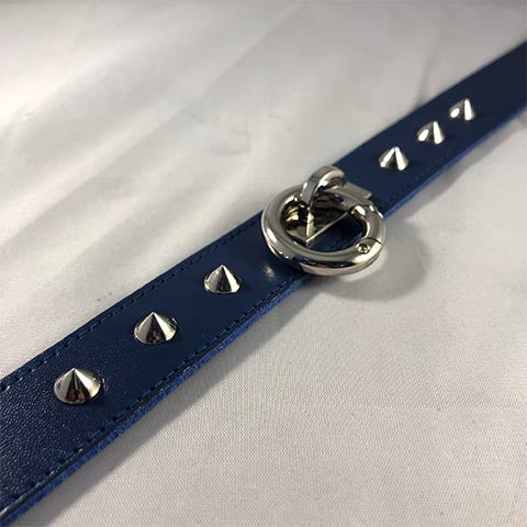 Close up of studs and o-ring of blue rouge collar.