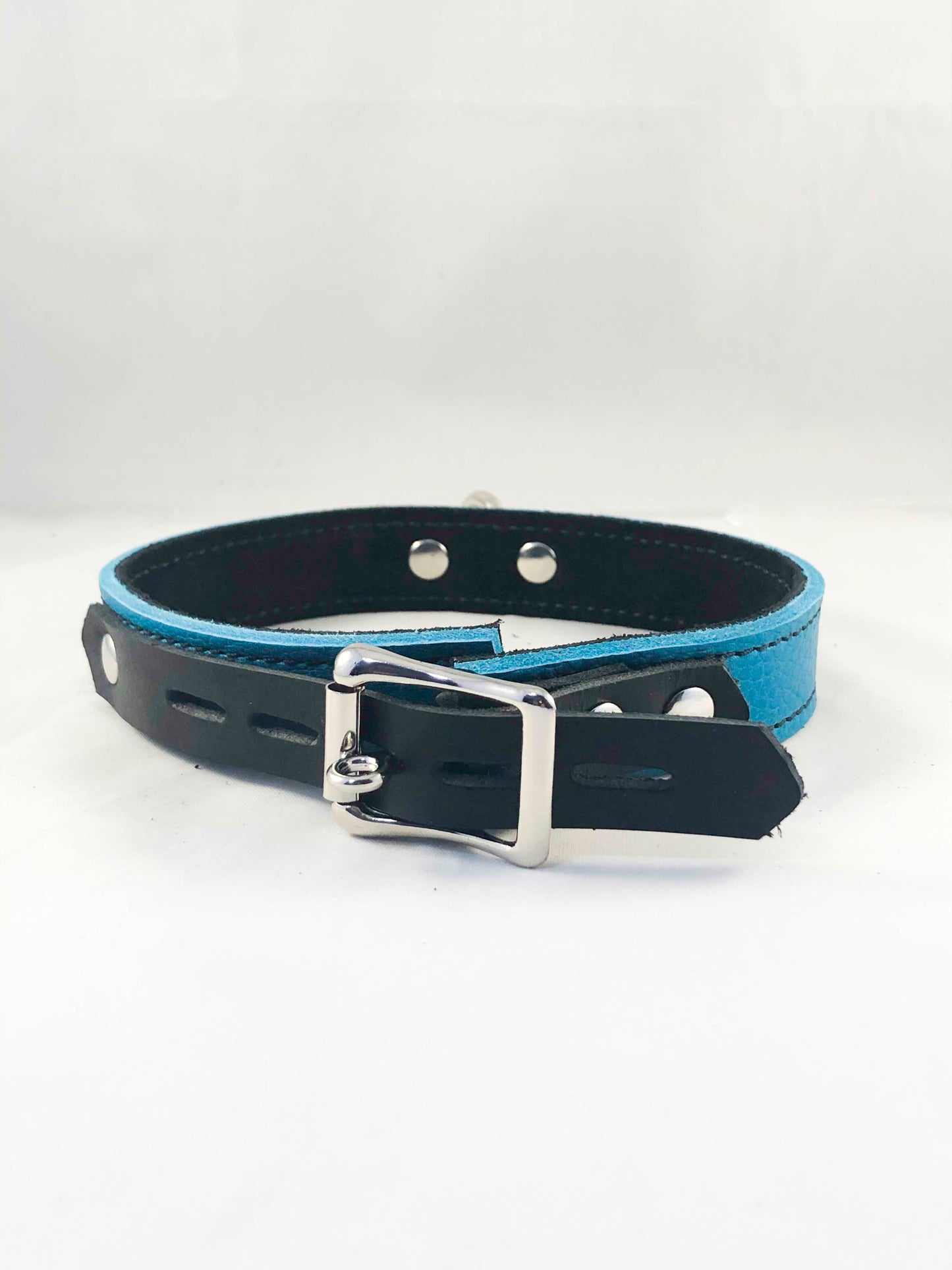 Back view of the teal Basic Single Ring Collar.