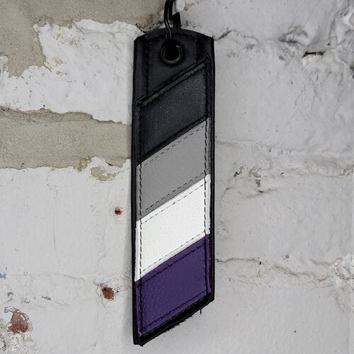 Asexual Pride Flag Keyring Against a Wall
