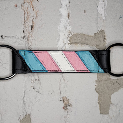 The Trans Pride Flag Center Strap.