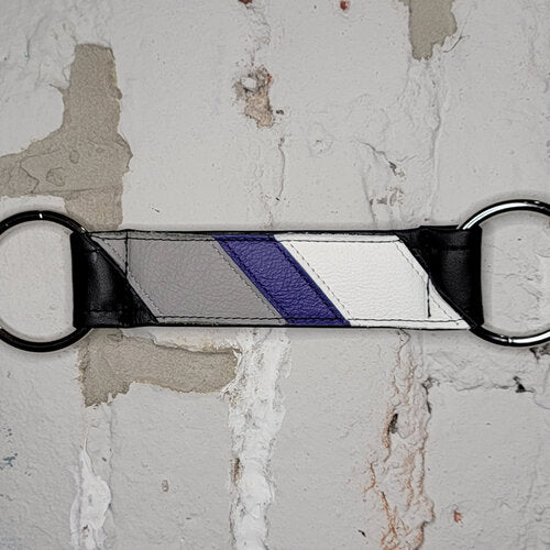 The Demisexual Pride Flag Center Strap.