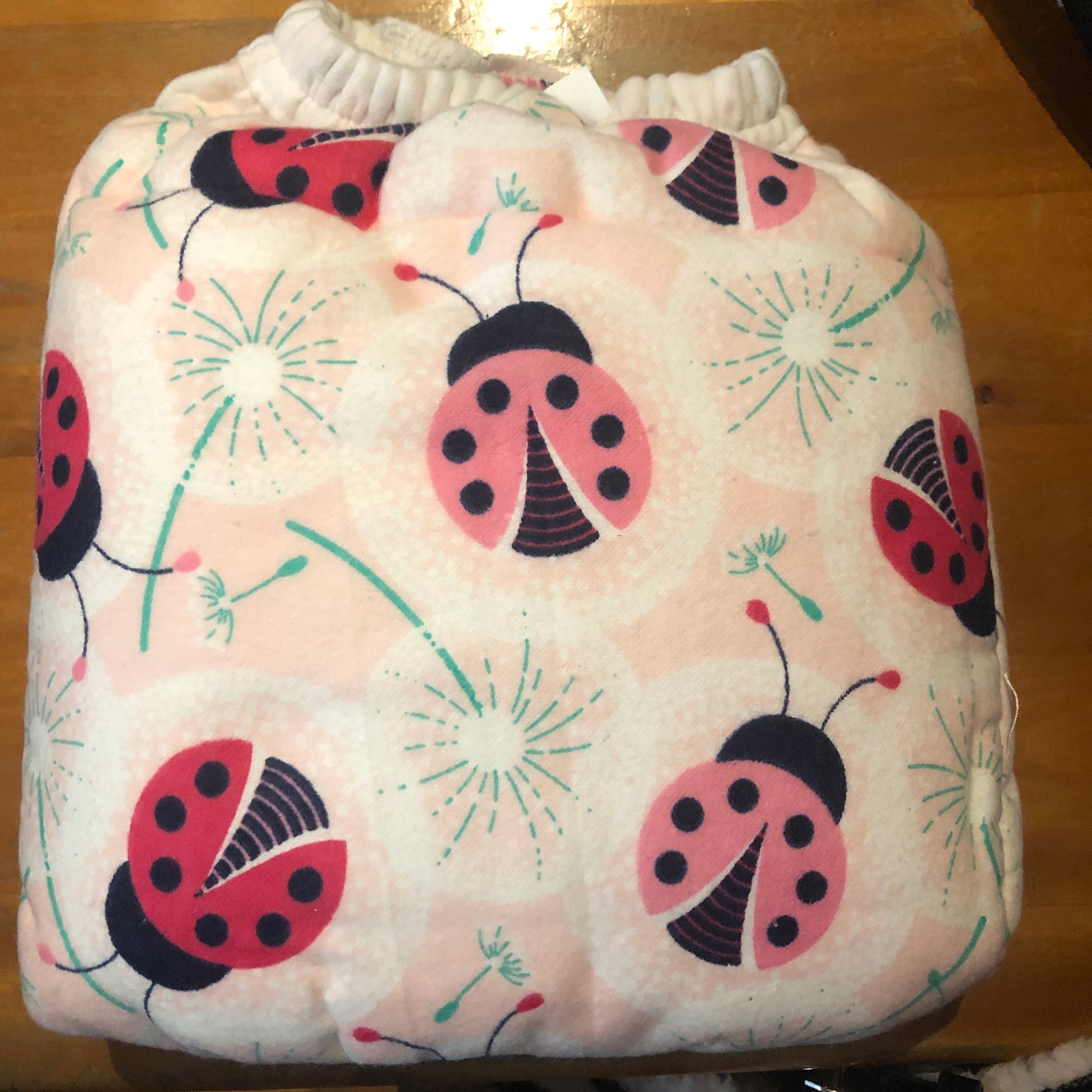 The Pink Bugs Cloth Diaper with Velcro Closure.