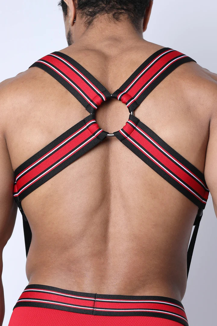 Masculine looking model showing the back of the red Kennel Club Atlas Suspender Harness.