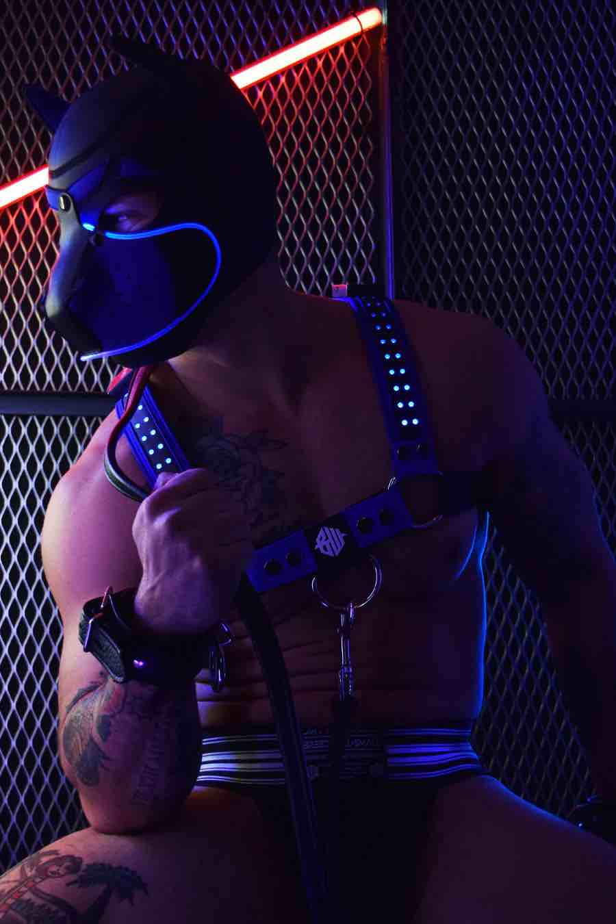 A model in a blue chest harness wears the blue Poundtown Glow Pup Hood.