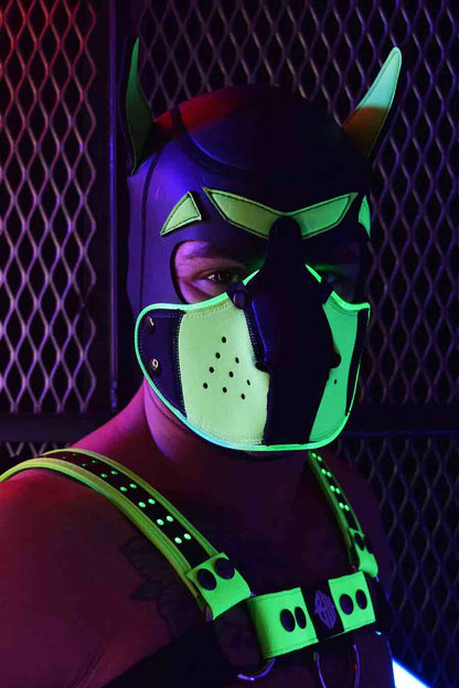 A model in a neon green chest harness wears the neon green Poundtown Glow Pup Hood.