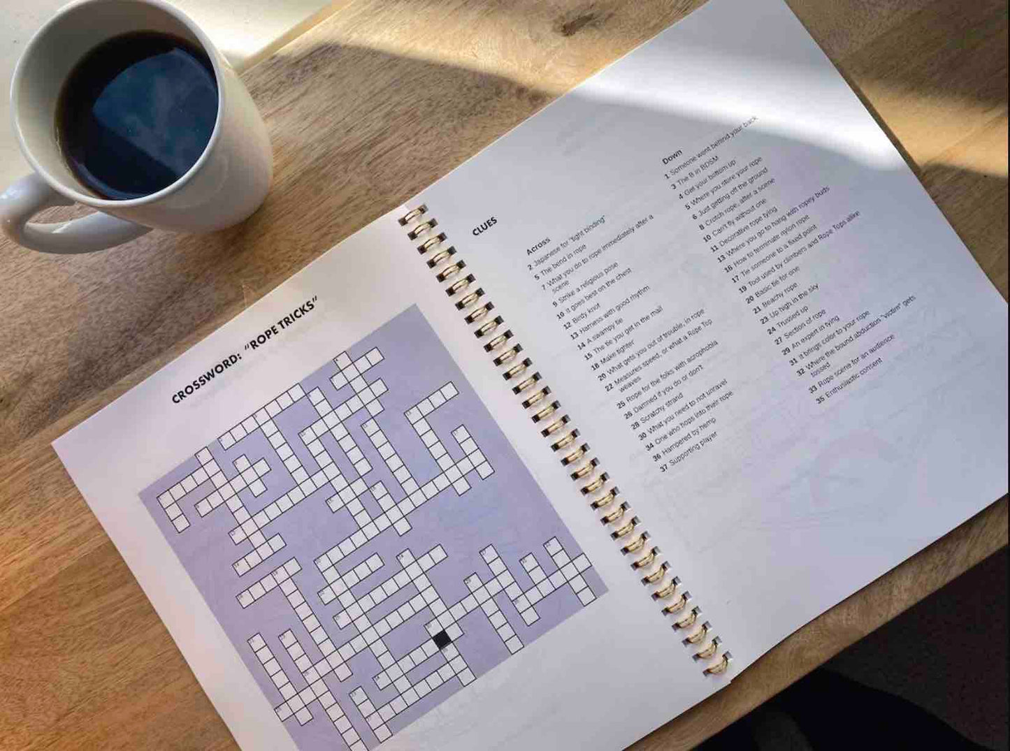 A page from the Ultimate Kinky Activity Book: A crossword puzzle on the left page and on the right are clues to the puzzle.