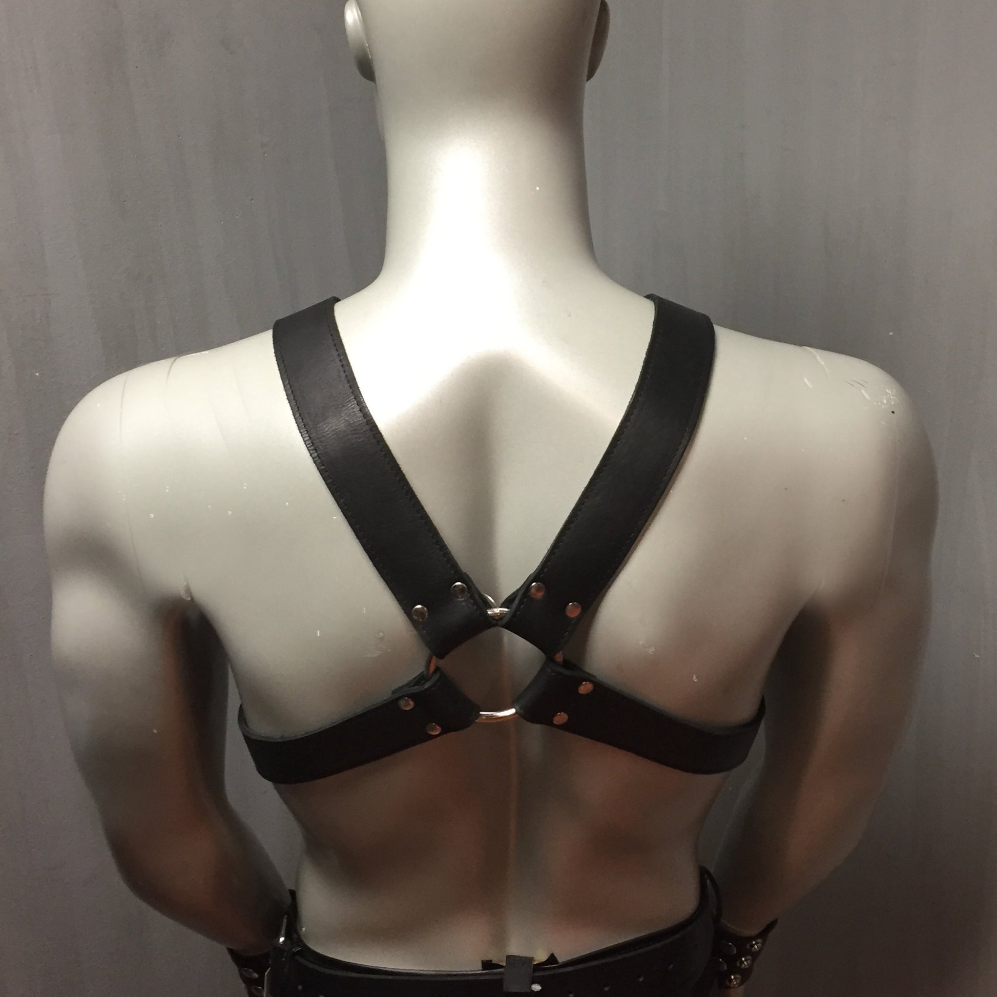 Classic 1.5" Leather X-Harness back, view on mannequin.