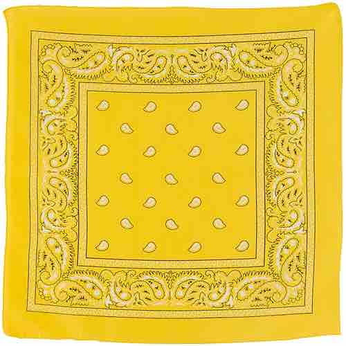 The yellow handkerchief.