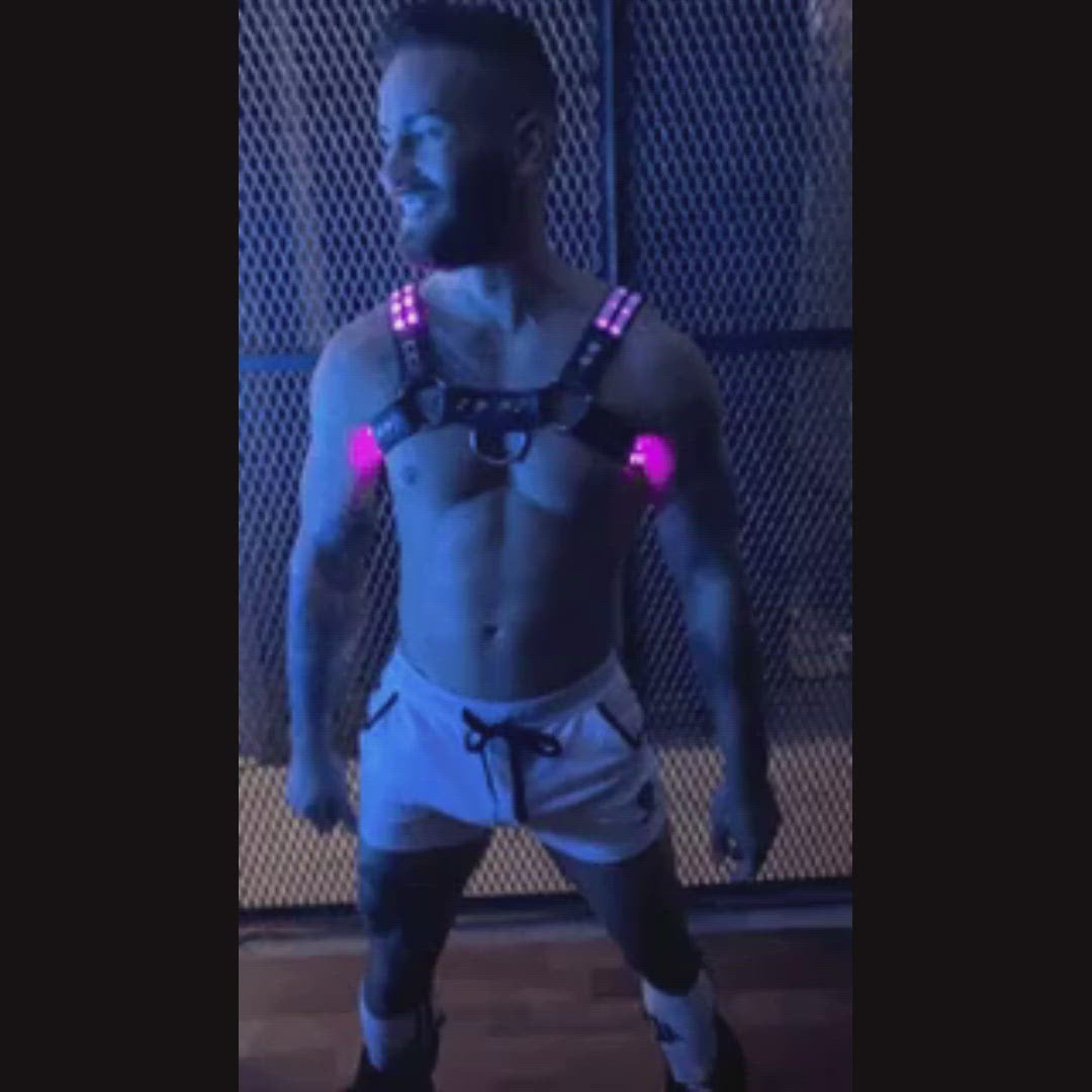 A video of the Rave Bulldog Harness lighting up on model.
