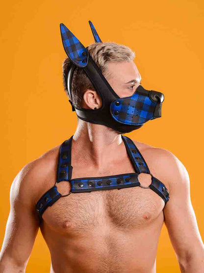 A model wearing the blue plaid neoprene snap-on K9 muzzle, matching ears and harness.