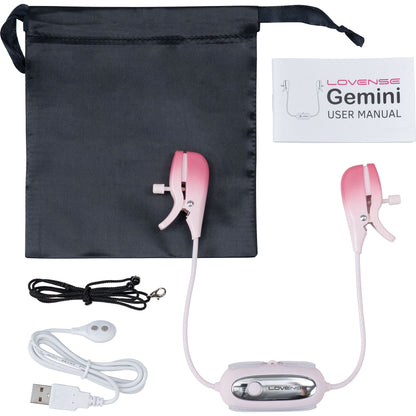 The Lovense Gemini with its charging cable, user manual and drawstring bag.