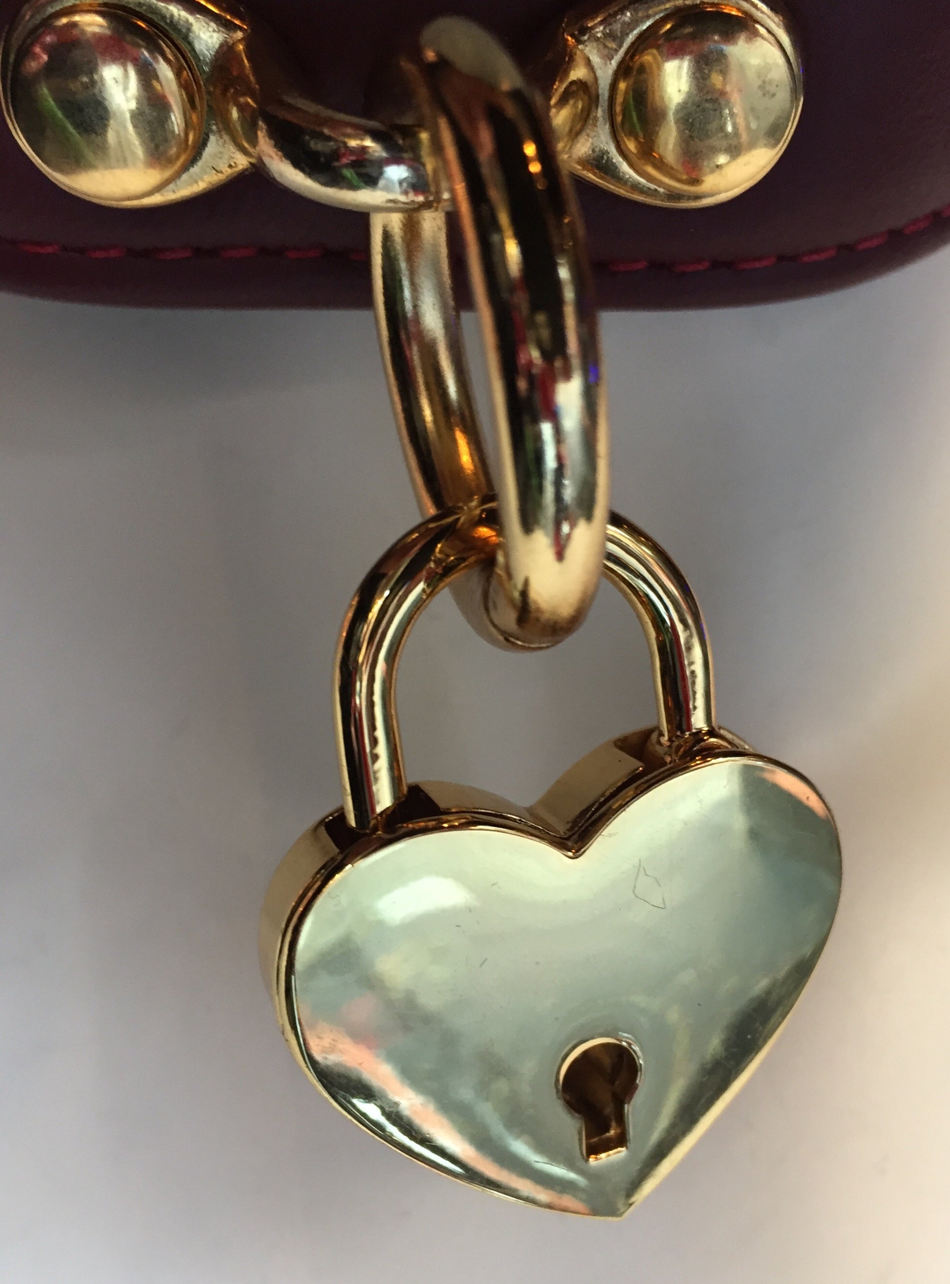 Gold large heart lock locked onto O-ring of a leather collar.