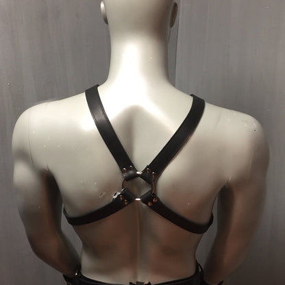 Classic 1.5" Buckle X-Harness on mannequin rear view close up