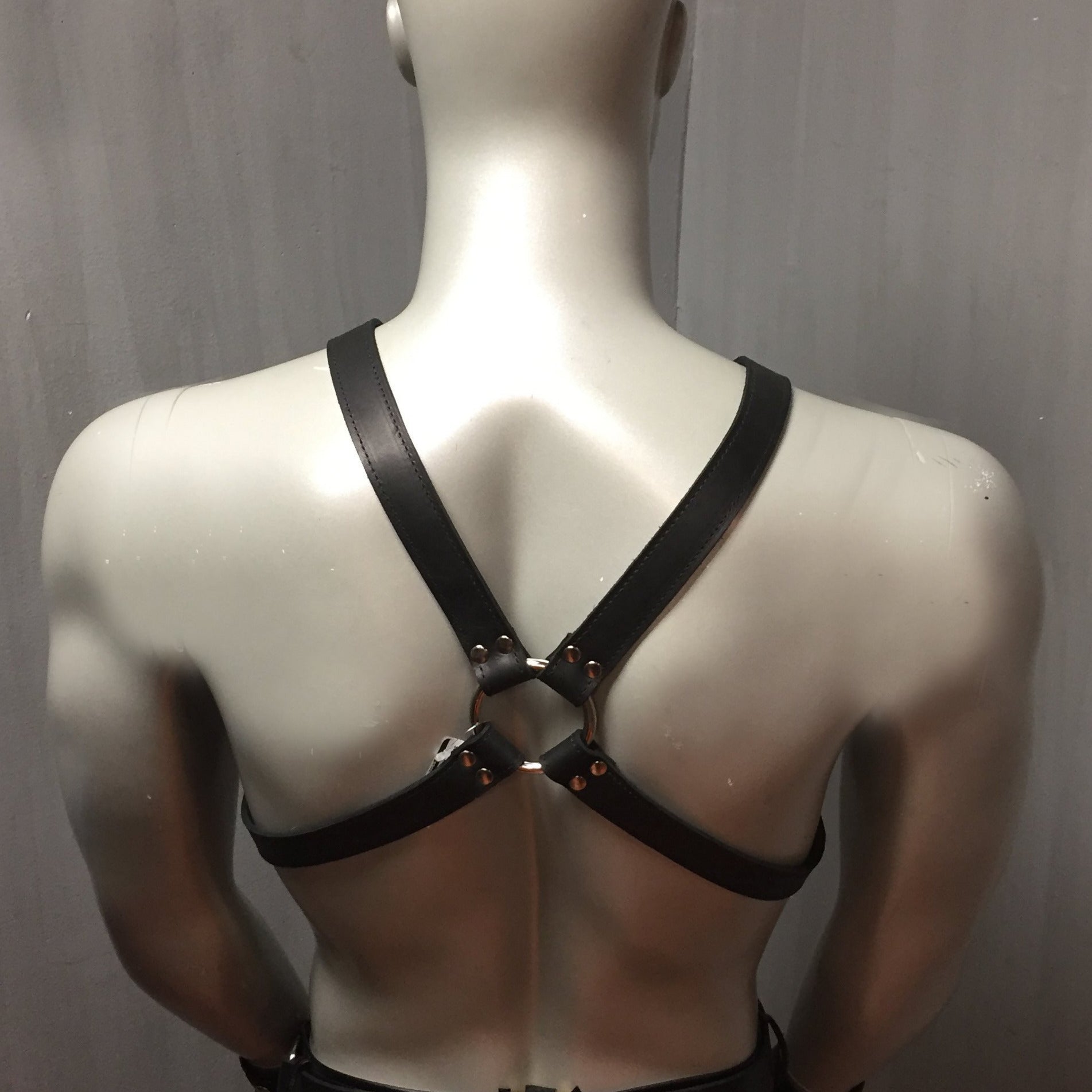 Classic 1.5" Buckle X-Harness on mannequin rear view