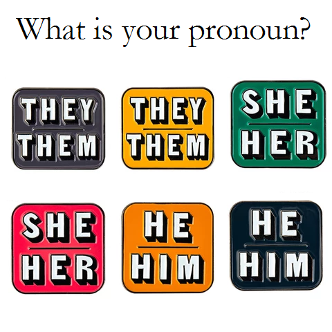 6 styles of enamel pronoun pins