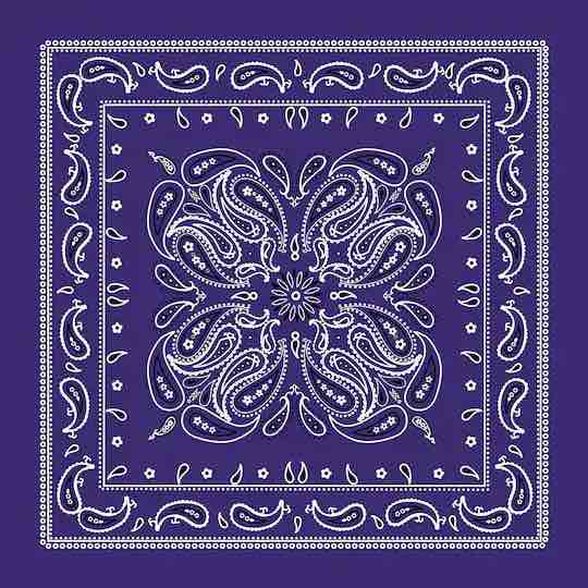 The purple handkerchief.