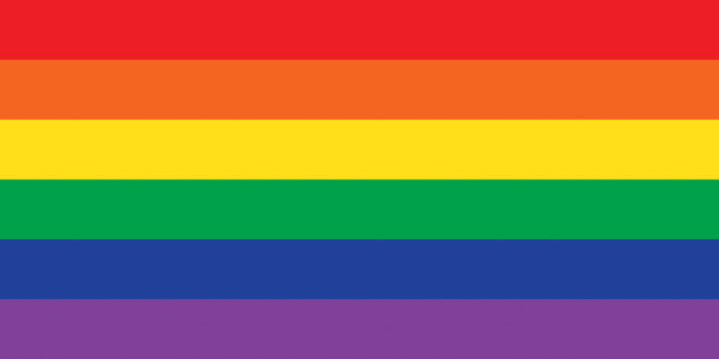 Enamel Pride Flag Lapel Pin Rainbow