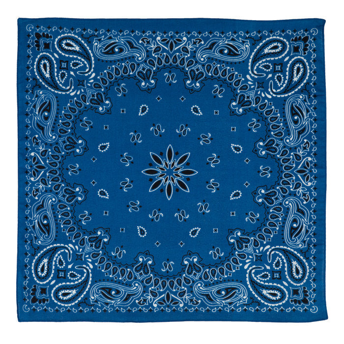 The royal blue handkerchief.