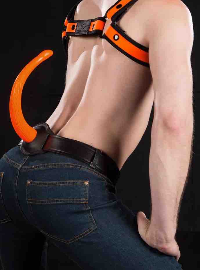 A model wearing blue jeans and the orange Classic Show Tail attached to a black belt with matching chest harness.